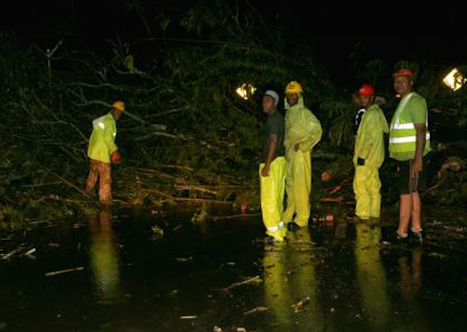 Fiji workers clear a tree blocking a Suva rod last night. Image: Fiji Times
