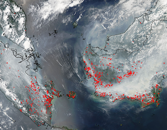 A satellite image of forest fires in Indonesia's Sumatra and Borneo. Image: beforeitsnews.com