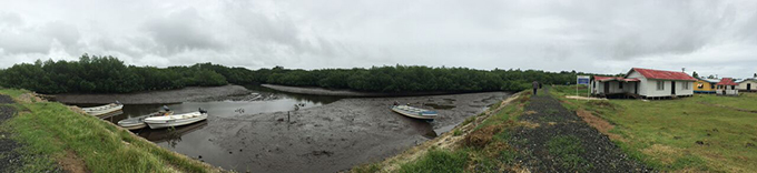 Daku village ... surounded by mangroves. Image: Ami Dhabuwala/PMC