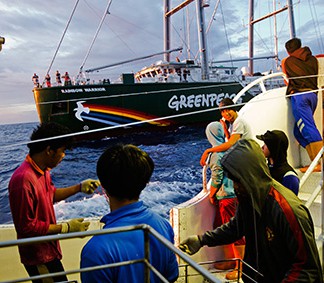 Rainbow Warrior campaign pushes spotlight on Pacific fish ‘laundering’