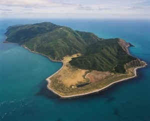 Kapiti Island ... "needed" for Kiribati, if no climate solutions found, jokes President Tong. Image: The Rising Tide