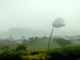 Raging winds batter capital Suva as Cyclone Winston hits Fiji