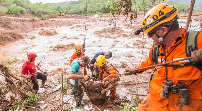Four Corners probe: ‘This mud wave has killed anything alive’