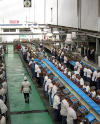 US, Pacific countries resolve treaty deadlock – fleet fishing again