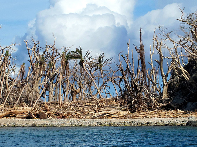 Is Fiji Fake? – Communicating Health, Science and the Environment