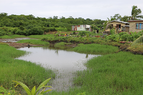 Floodwaters around the Daku houses. Image: TJ Aumua/PMC