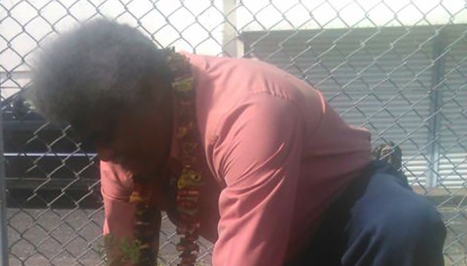 Education joins forestry against climate change in Vanuatu