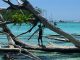 Sea-level rise claims five whole islands in the Pacific
