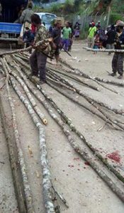 Locals preparing building materials to set up a shell house to wait for the Prime Minister. Image: Henny Hayabe/Hela/2016