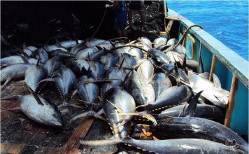 Vanuatu agrees to pay Vt18 million fine to avoid fisheries blacklisting