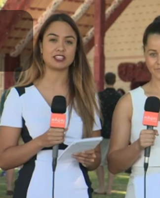 Remember the marginalised, chief justice says on Waitangi Day