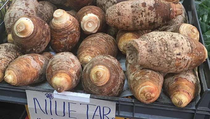 Quality claim root cause of double-priced Niuean taro
