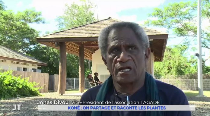 NCTV team drops in on AUT’s Pacific Media Centre and Screen programme