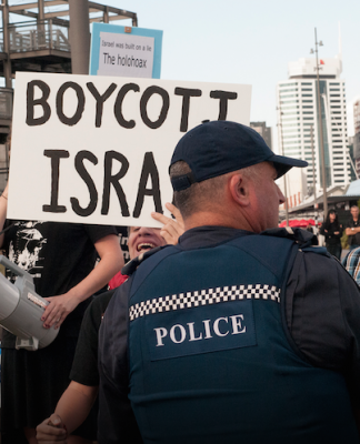 NZ pro-Palestinian ‘justice’ protesters target Israel Day waterfront events
