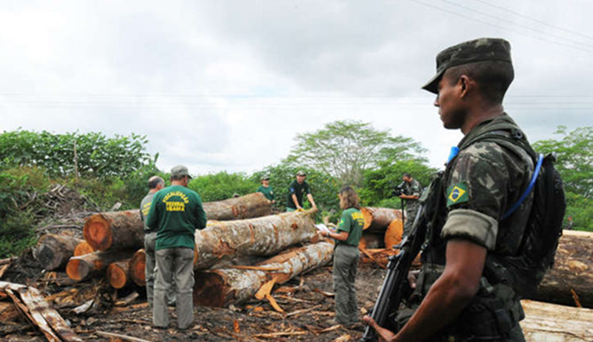 Precarious politics pose threats to world’s three biggest rainforests