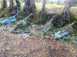 PNG massacre