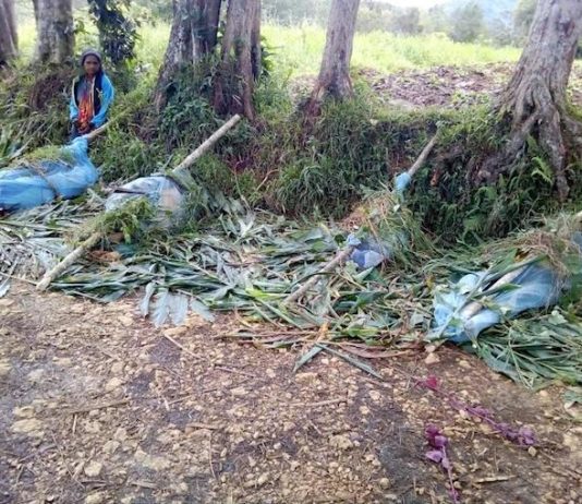 PNG massacre
