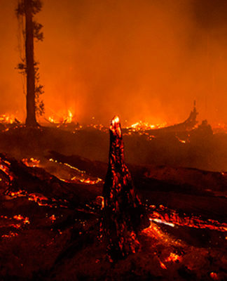Toxic smoke chokes region as Indonesian rainforests burn