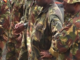 PNG troops