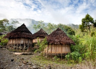 PNG village