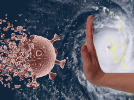 Coronavirus graphic