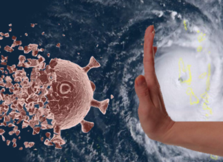 Coronavirus graphic