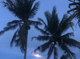 Moonset after TC Harold