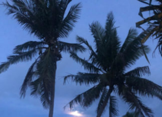 Moonset after TC Harold