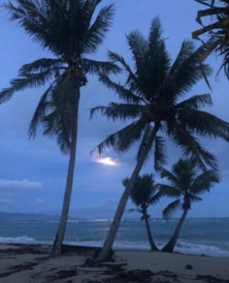 Moonset after TC Harold