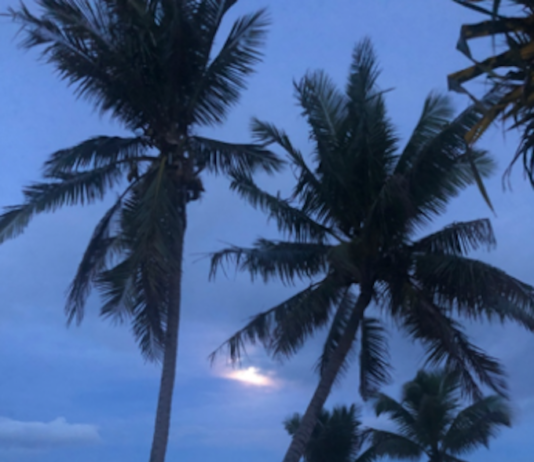 Moonset after TC Harold