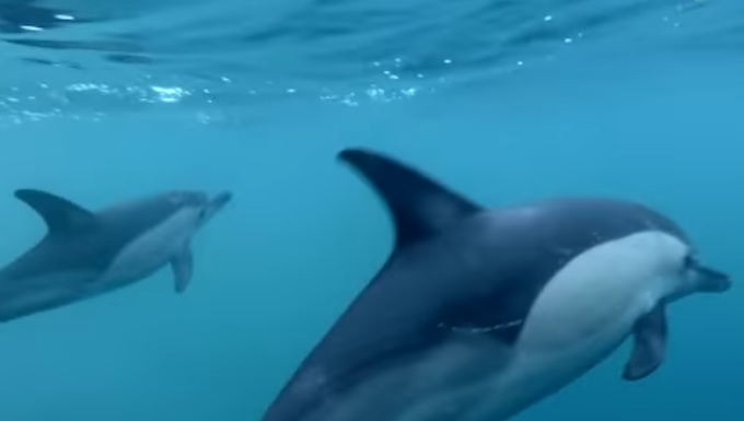NZ earth video still