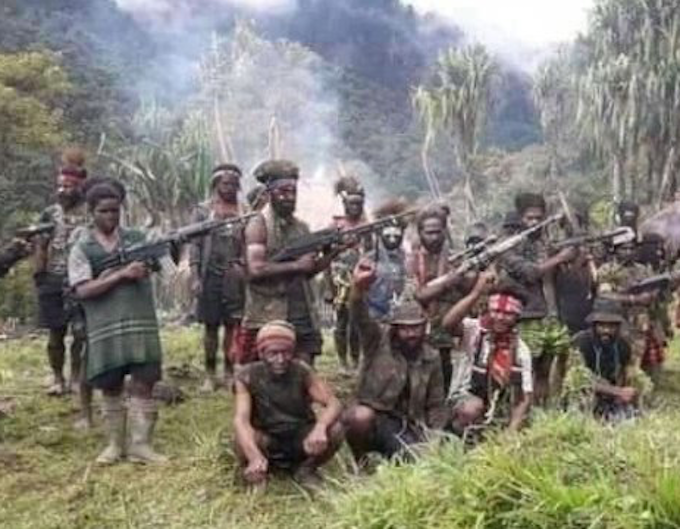 Opm Proposes West Papua Ceasefire To Help Contain Spread Of Covid 19 Asia Pacific Report