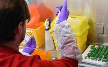 Two new confirmed cases of covid-19 reported in New Zealand Covid-19 testing