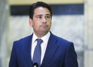 National Party leader Simon Bridges