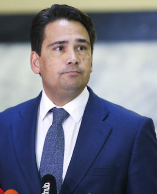 National Party leader Simon Bridges