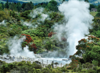 Whakarewarewa