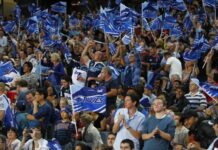 Blues rugby crowd