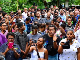 USP students for Pal