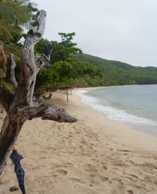 Mixed views still over Pacific travel ‘bubbles’ but private sector has hope Botaira Island