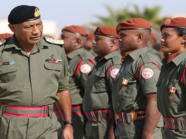 Fiji troops in Sinai