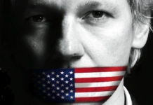 Julian Assange USflag