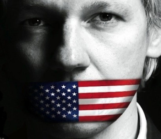 Julian Assange USflag