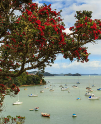 NZ detains three German yachties in Bay of Islands for defying border ban