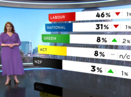 1 News Colmar Brunton poll