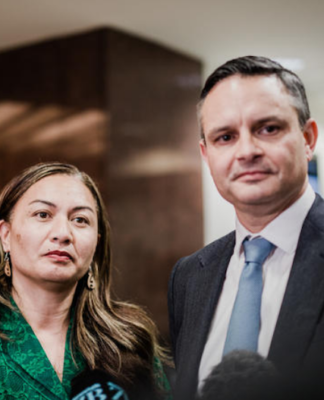 NZ Greens accept Labour’s offer for ‘cooperation agreement’ Green Party co-leaders