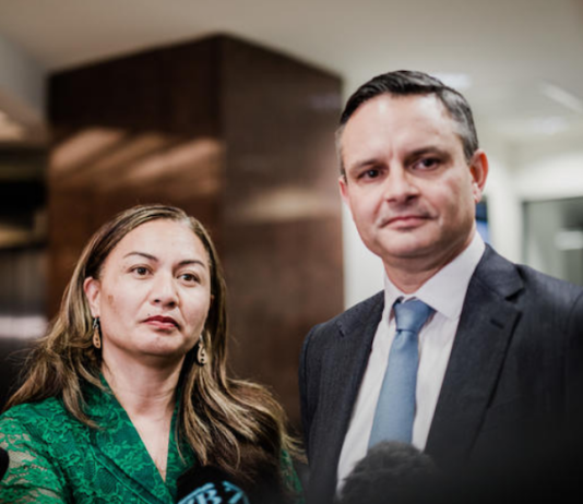 Green Party co-leaders