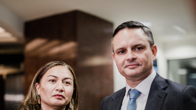 Green Party co-leaders