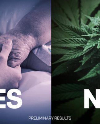 NZ Referendum