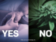 NZ referendum preliminary results – yes to euthanasia reform, no to cannabis NZ Referendum