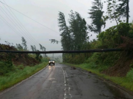 Cyclone Yasa